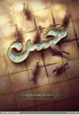 پوستر | مجموعه گرافیکی با موضوع ایام ولادت امام حسن مجتبی (ع)